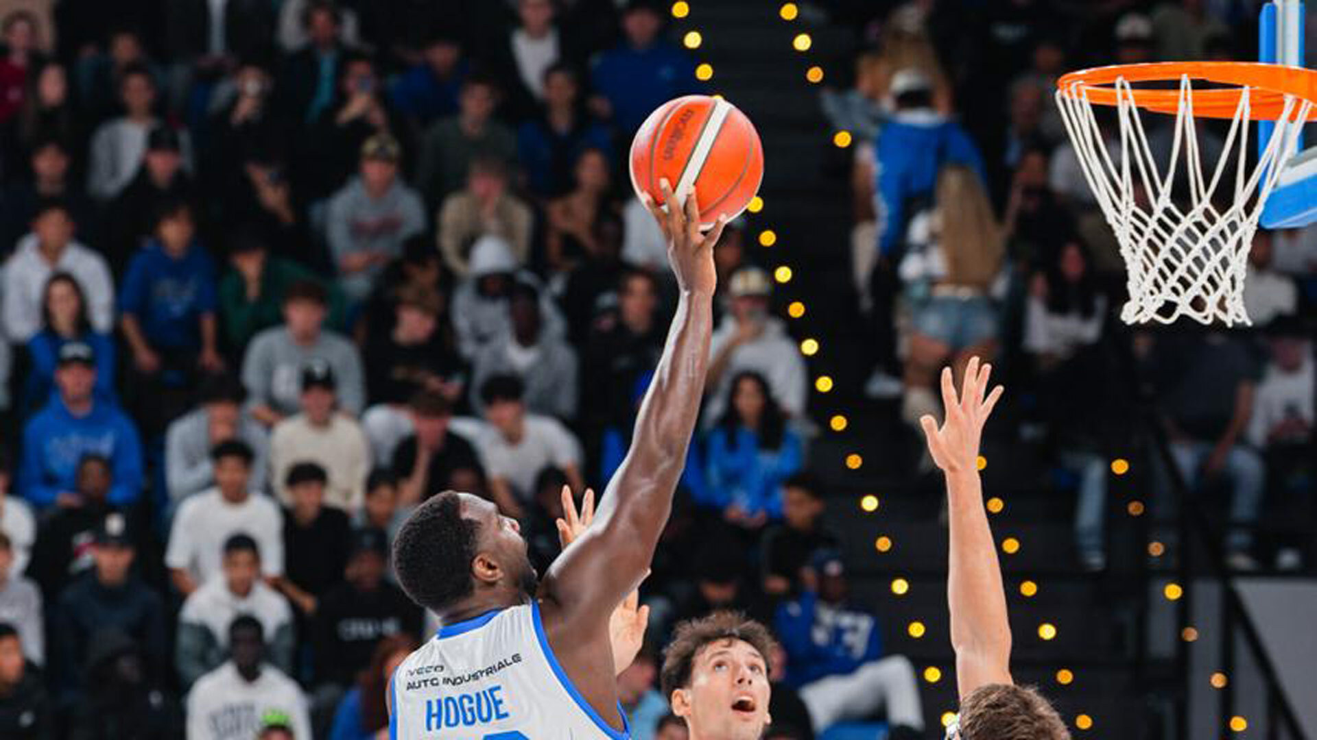 immagine news hogue partita puglia