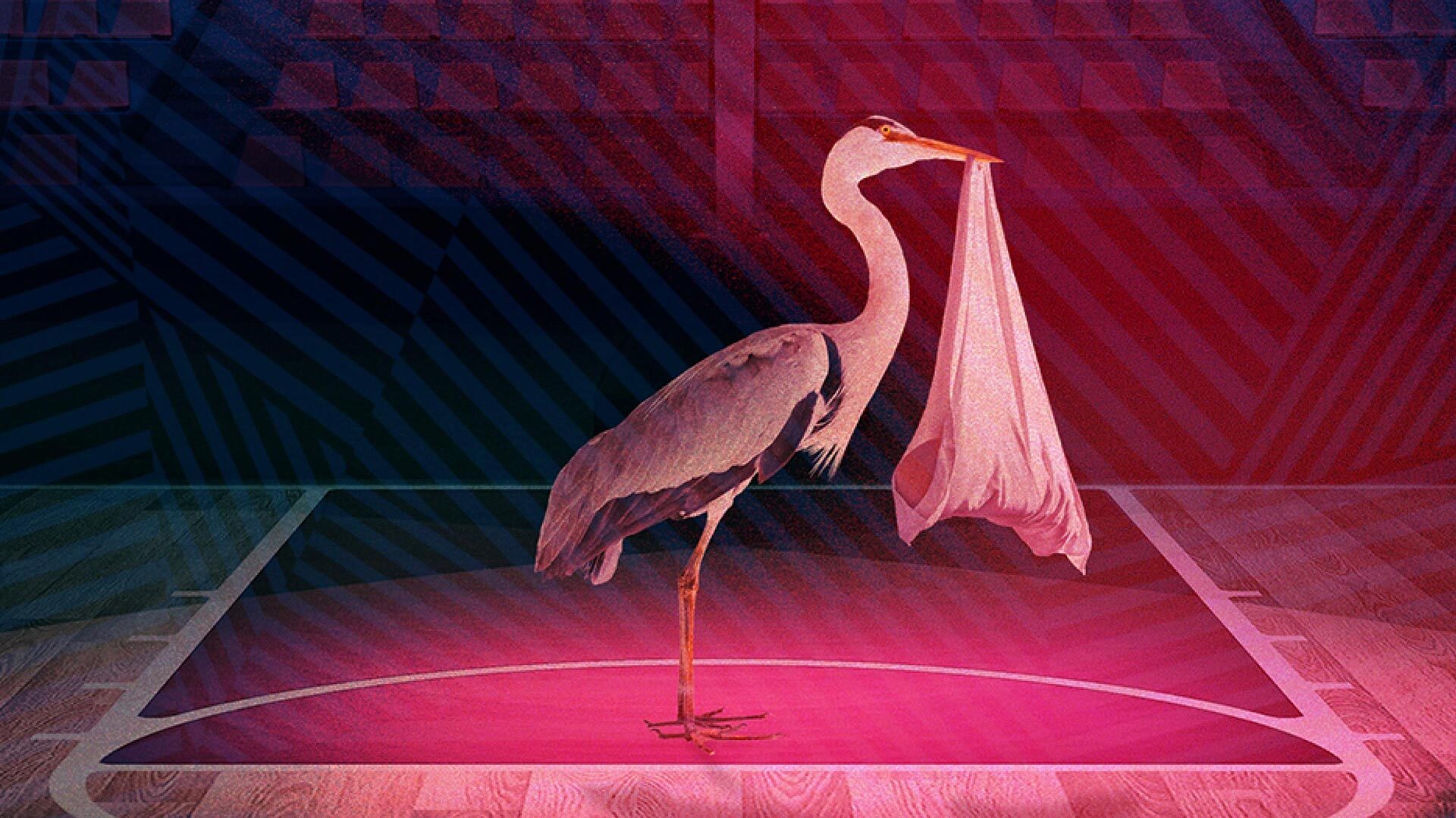 immagine news hazel hogue